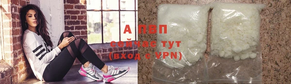 ГАЛЛЮЦИНОГЕННЫЕ ГРИБЫ Бердск