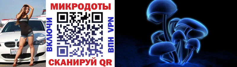 Псилоцибиновые грибы Psilocybe mega Балтийск