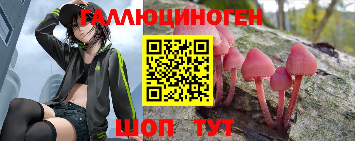 Балтийск  Галлюциногенные грибы GOLDEN TEACHER  Псилоцибиновые грибы Magic Shrooms  купить наркотик  Вход с VPN 