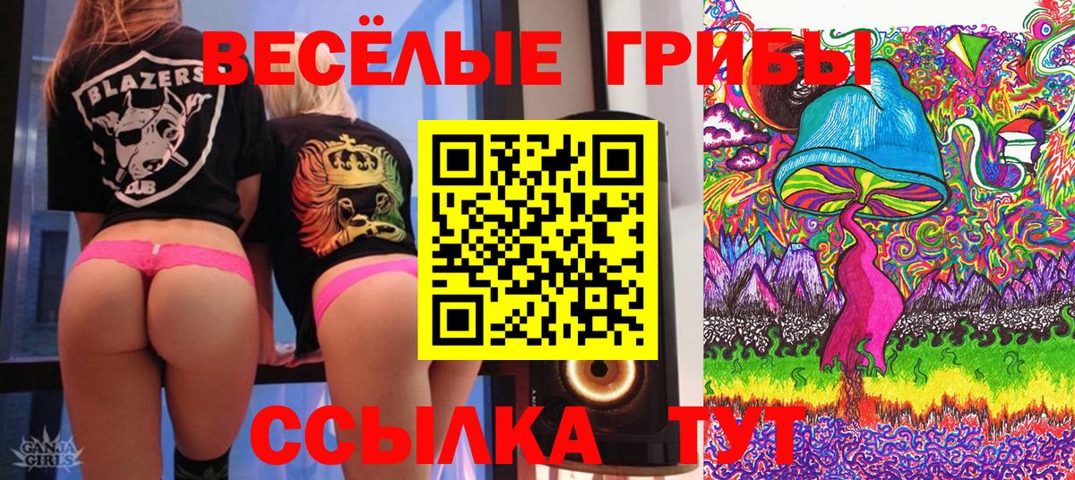 Меф   ГАШИШ  Каннабис  НБОМе  Вход с VPN  А ПВП СОЛЬ   LSD-25  Балтийск  МДМА 
