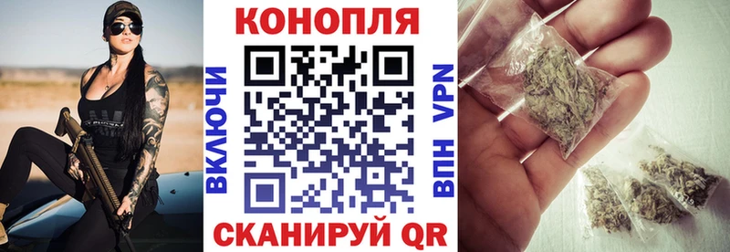 Бошки Шишки марихуана  ссылка на мегу зеркало  Балтийск 